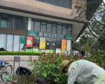 Bảo Dưỡng Cảnh Quan Cây Xanh TPHCM