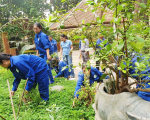 Tiêu chuẩn chăm sóc cây xanh cho nhà máy và khu công nghiệp