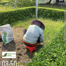 Bảo Dưỡng Cảnh Quan Khu Công Nghiệp - Cty Hạnh Phúc Xanh