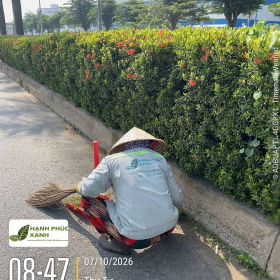 Công Ty Bảo Dưỡng Cảnh Quan Chuyên Nghiệp, Uy Tín