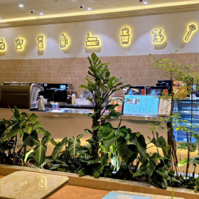 Chăm Sóc Cảnh Quan Quán Cafe Chuyên Nghiệp