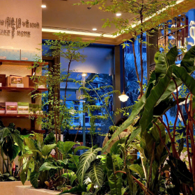  Bảo Dưỡng Cảnh Quan Quán Cafe Chuyên Nghiệp