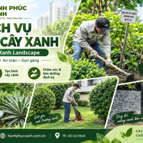Dịch Vụ Cắt Tỉa Cây Xanh Uy Tín - Hạnh Phúc Xanh Landscape
