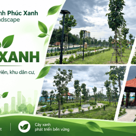 Công Ty Thi Công Trồng Cây Xanh Uy Tín