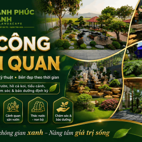 Thi Công Cảnh Quan Chuyên Nghiệp Uy Tín