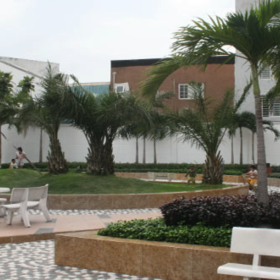 THI CÔNG CẢNH QUAN CÂY XANH