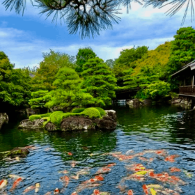 Thi Công Sân Vườn Biệt Thự - Hạnh Phúc Xanh Landscape
