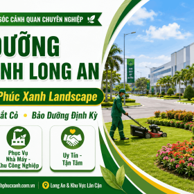 Bảo Dưỡng Cây Xanh Long An
