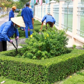 Công Ty Bảo Dưỡng Cảnh Quan