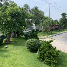Công Ty Cây Xanh Tại TPHCM