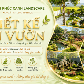 Bảo Dưỡng Cây Xanh, Sân Vườn Chuyên Nghiệp