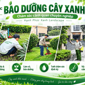 Dịch Vụ Bảo Dưỡng Cảnh Quan Cây Xanh