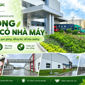 Thi Công Trồng Cỏ Nhà Máy Chuyên Nghiệp