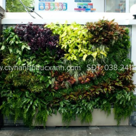 THIẾT KẾ VÀ THI CÔNG TƯỜNG CÂY UY TÍN TẠI TPHCM