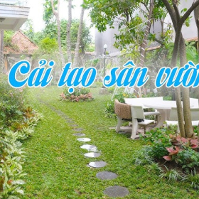 Bảo Dưỡng Cây Xanh HCM