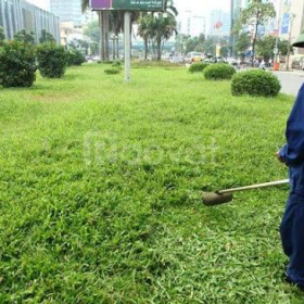DỊCH VỤ CHĂM SÓC BẢO DƯỠNG CẢNH QUAN CHUYÊN NGHIỆP