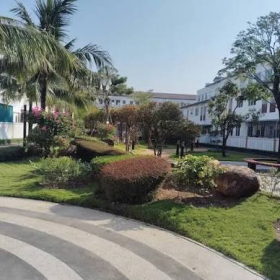 Công Ty Thiết Kế Sân Vườn Uy Tín