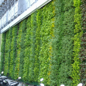Đơn Vị Thi Công Tường Cây Xanh