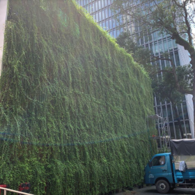 THI CÔNG TƯỜNG CÂY  VƯỜN ĐỨNG UY TÍN