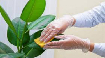 Thi công tường nước, non bộ, hồ cá, tiểu cảnh