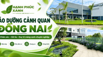 Thi công tường nước, non bộ, hồ cá, tiểu cảnh