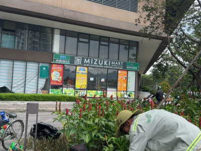 Bảo Dưỡng Cảnh Quan Cây Xanh TPHCM