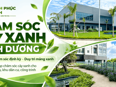 Chăm Sóc Cây Xanh Bình Dương