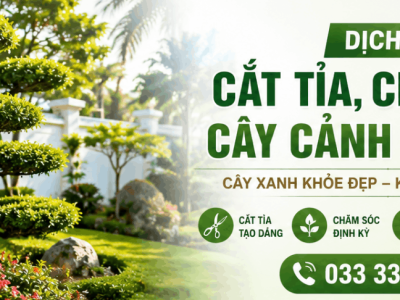 DỊCH VỤ CẮT TỈA, CHĂM SÓC CÂY CẢNH BÌNH TÂN TẠI NHÀ NHANH CHÓNG