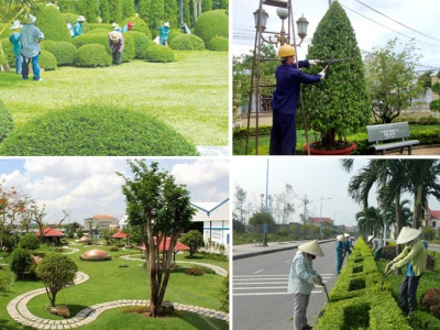 Công Ty Bảo Dưỡng Cảnh Quan Resort