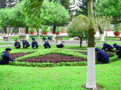 TIẾT KIỆM HÀNG CHỤC TRIỆU NHỜ BẢO DƯỠNG CẢNH QUAN ĐÚNG CÁCH