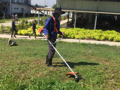 DỊCH VỤ CẮT CỎ CHUYÊN NGHIỆP