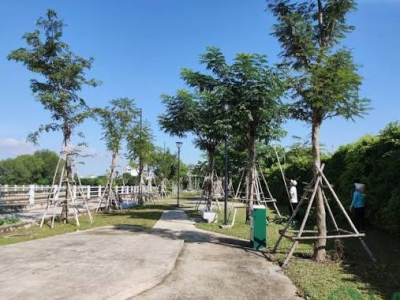 Bảo Dưỡng Cảnh Quan Công Viên TPHCM