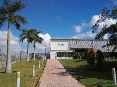 Công Ty Bảo Dưỡng Cây Xanh Nhà Máy Tại TPHCM