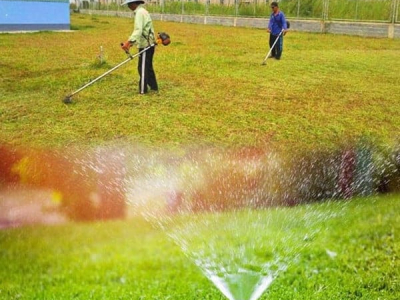 BẢO DƯỠNG CẢNH QUAN ĐỊNH KỲ: “BÍ KÍP” GIỮ SÂN VƯỜN XANH MƯỚT QUANH NĂM