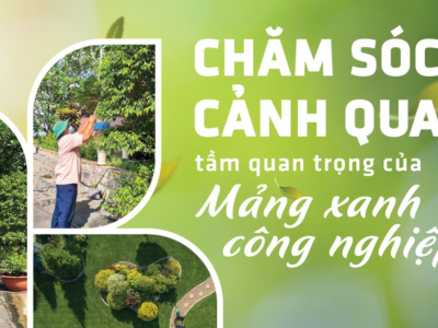 Bảo Dưỡng Cảnh Quan Bình Phước