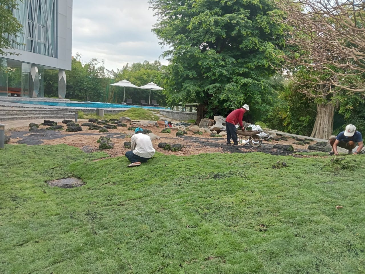 Thi Công Thiết Kế Cảnh Quan Hạnh Phúc Xanh